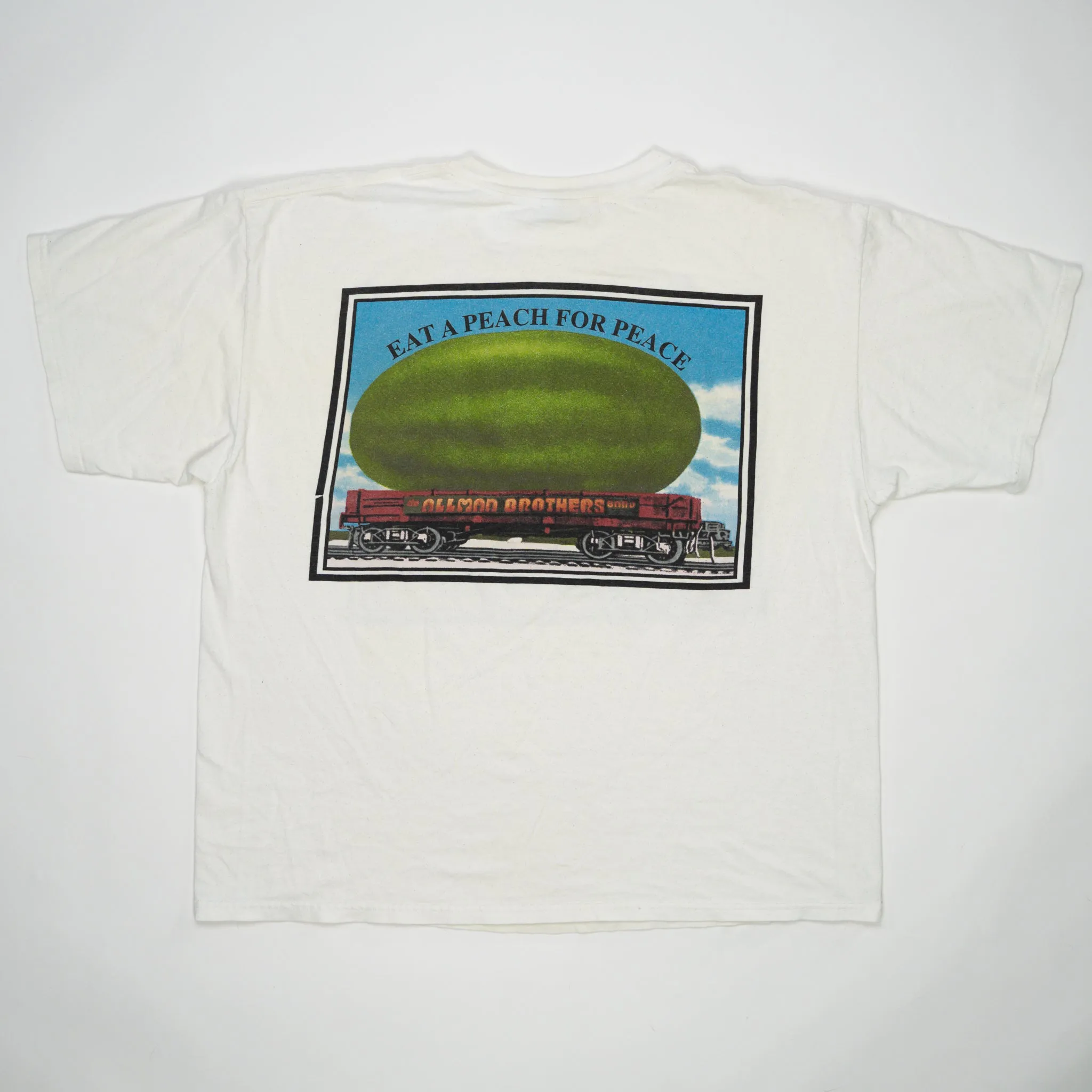 Vintage '95 Allman Brothers Band Tee (L/XL)