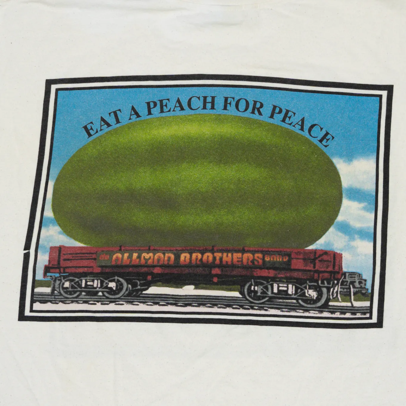 Vintage '95 Allman Brothers Band Tee (L/XL)